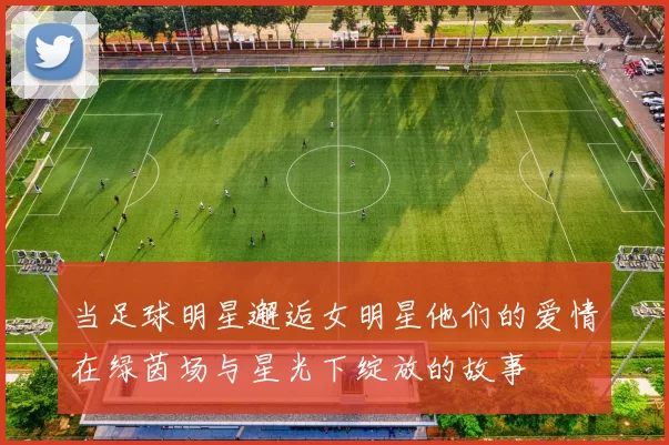 当足球明星邂逅女明星他们的爱情在绿茵场与星光下绽放的故事