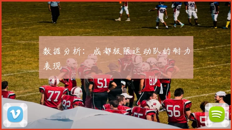 数据分析：成都极限运动队的耐力表现