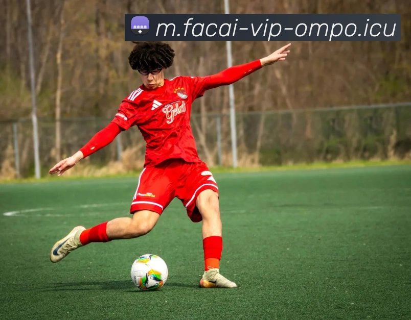 乐鱼体育品牌故事